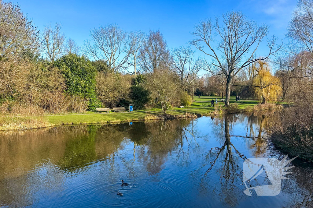 Getuigen gezocht straatroven Beatrixpark
