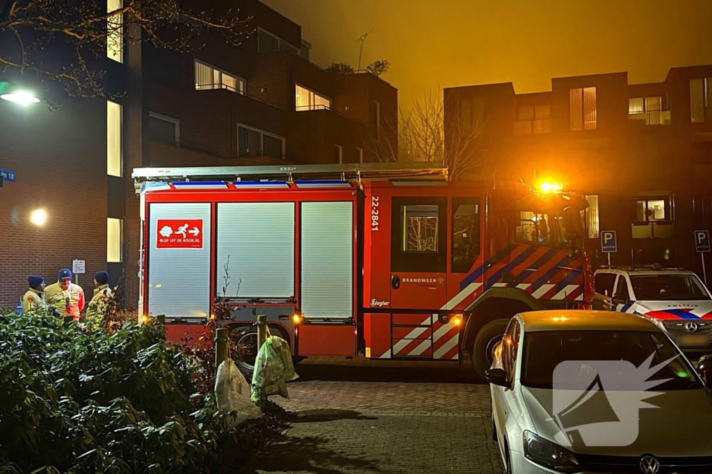 Kat in boom aangetroffen