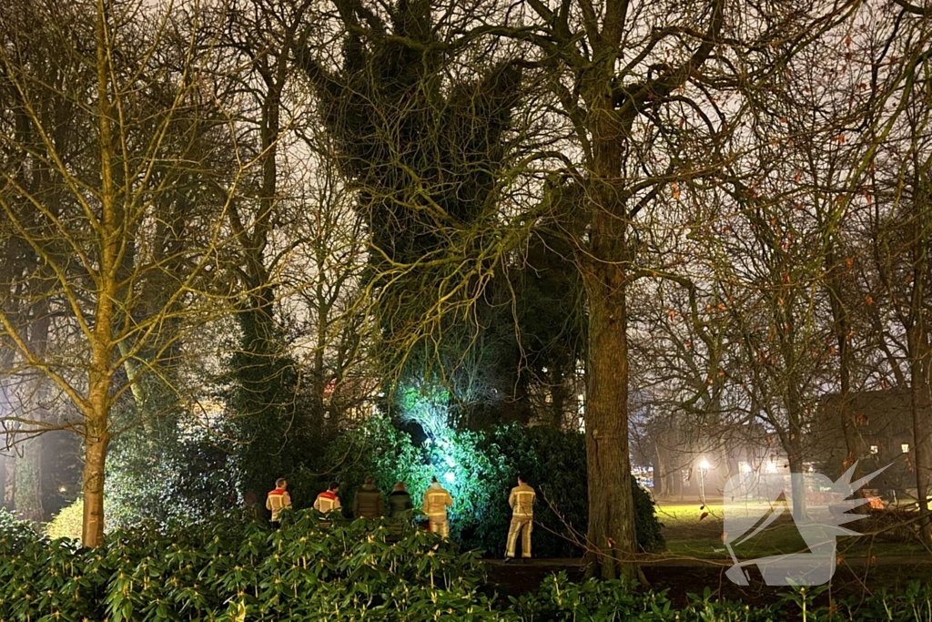 Kat in boom aangetroffen