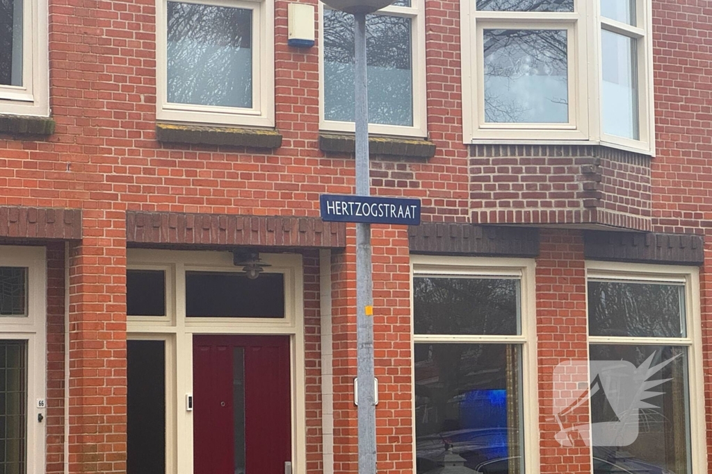 Opnieuw bronzenbeeld gestolen