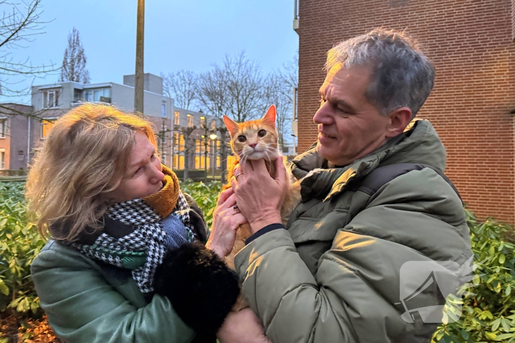 Boomverzorger Jaap redt kat na wekenlang avontuur