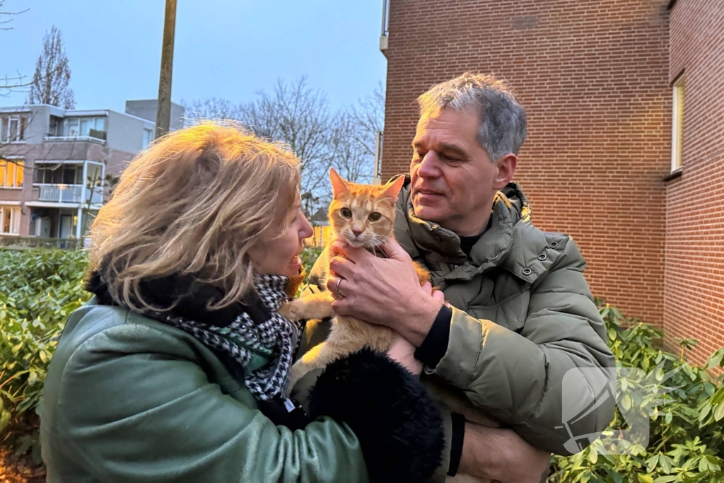 Boomverzorger Jaap redt kat na wekenlang avontuur