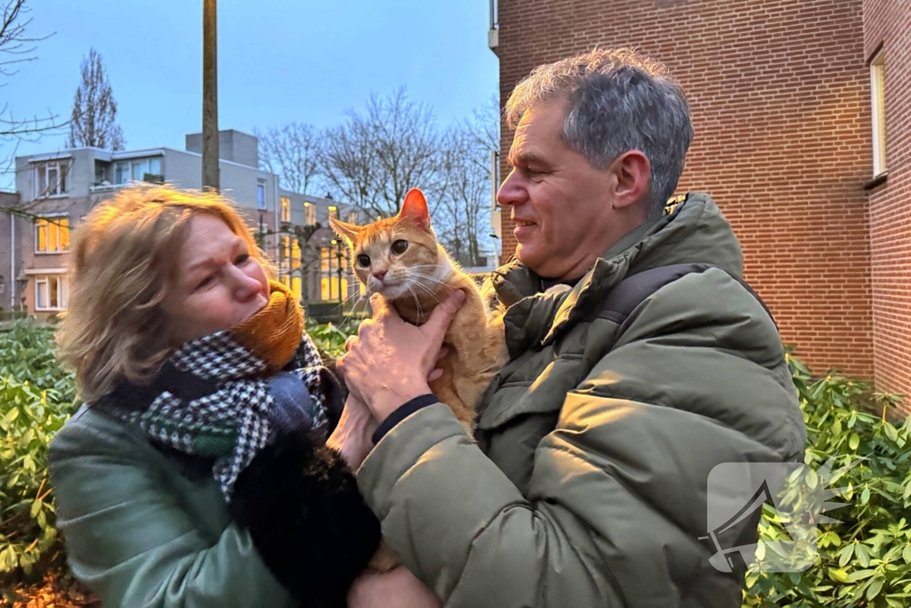 Boomverzorger Jaap redt kat na wekenlang avontuur