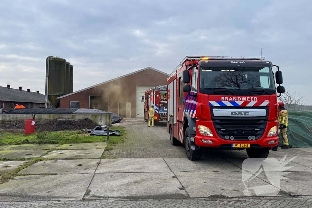 Brand in meterkast van varkensstal
