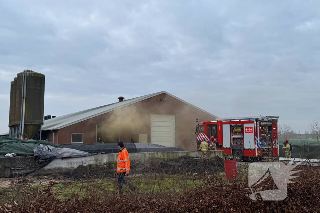 Brand in meterkast van varkensstal