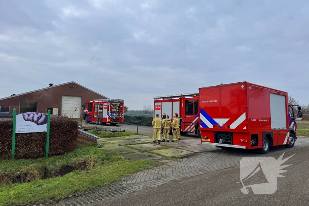 Brand in meterkast van varkensstal