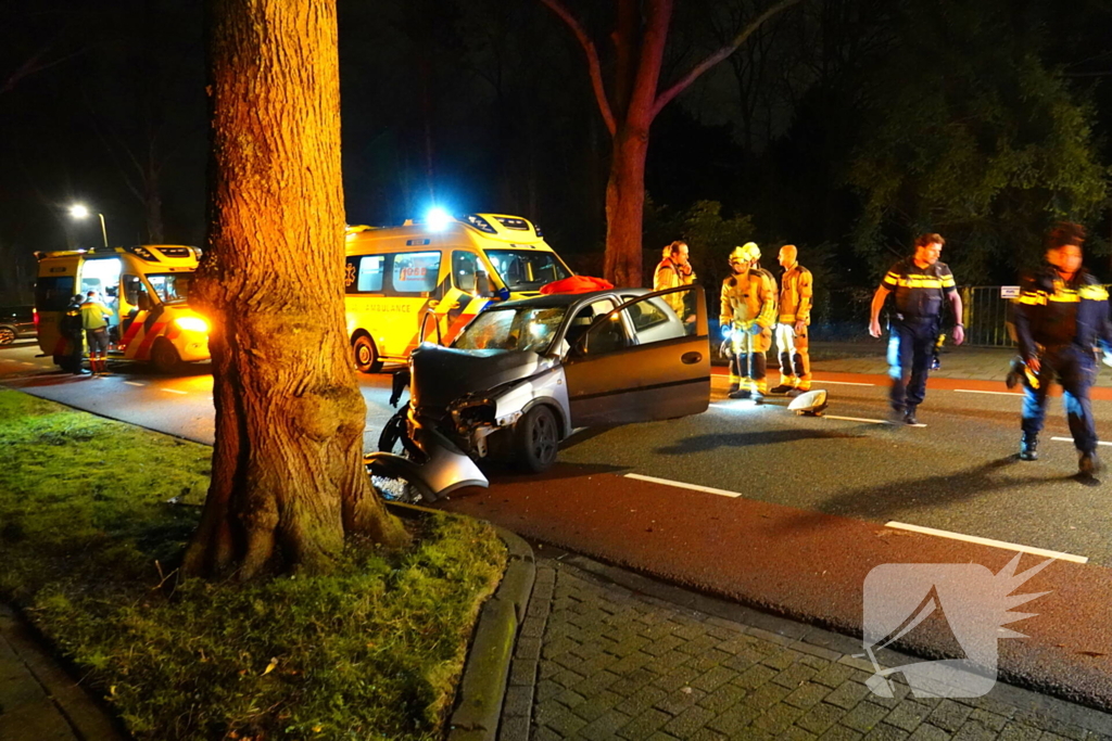 Automobilist belandt tegen een boom