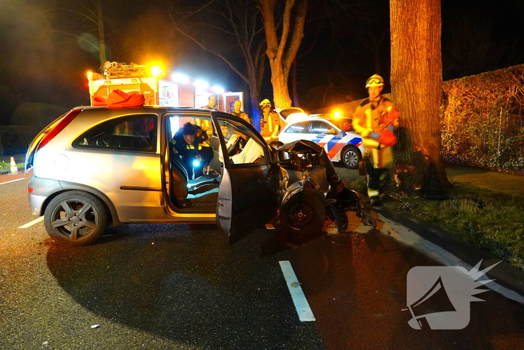 Automobilist belandt tegen een boom