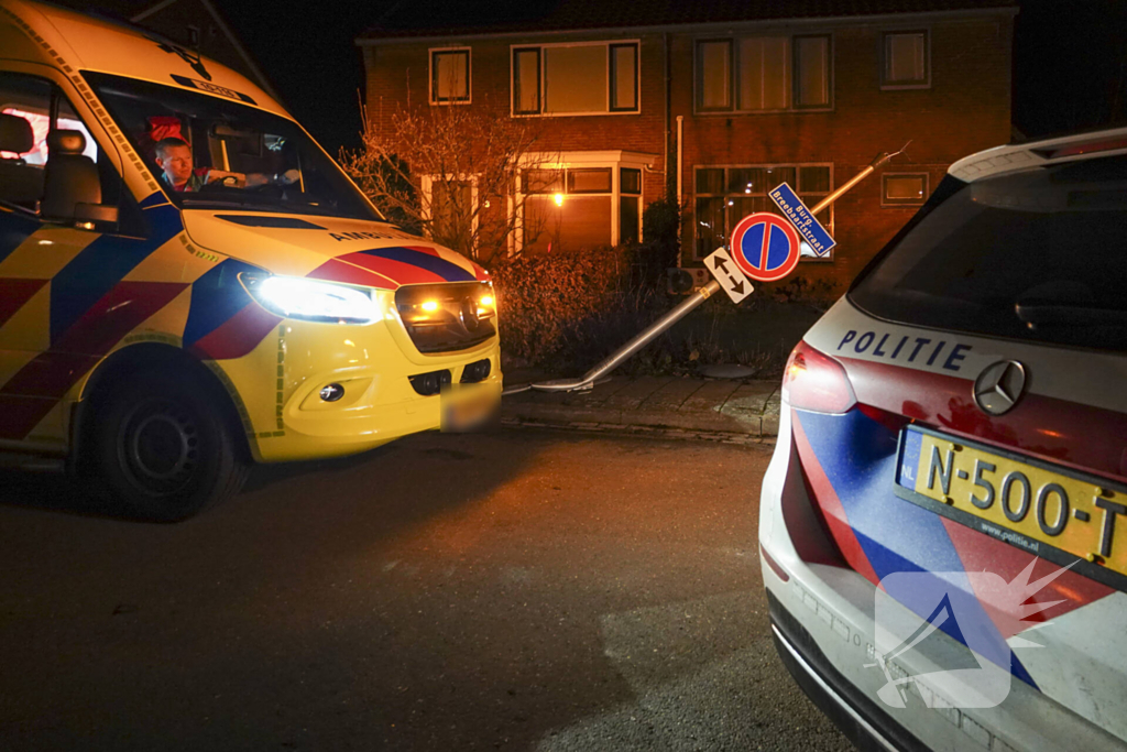 Automobilist ramt lantaarnpaal en kleine paal