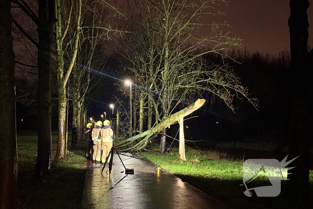 Boom valt over fietspad