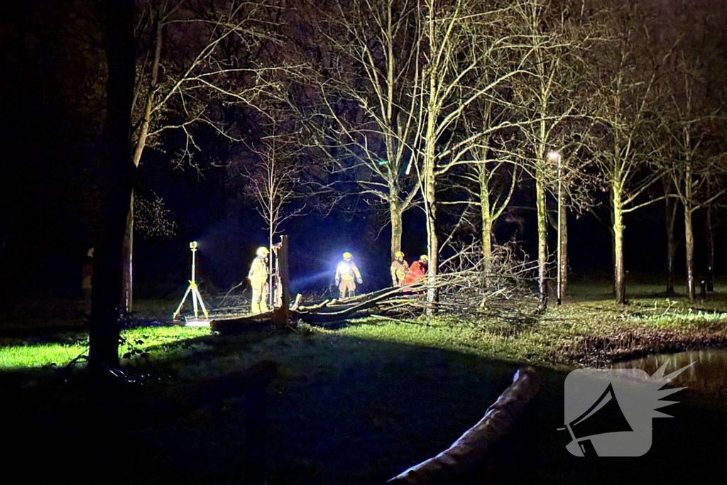 Boom valt over fietspad