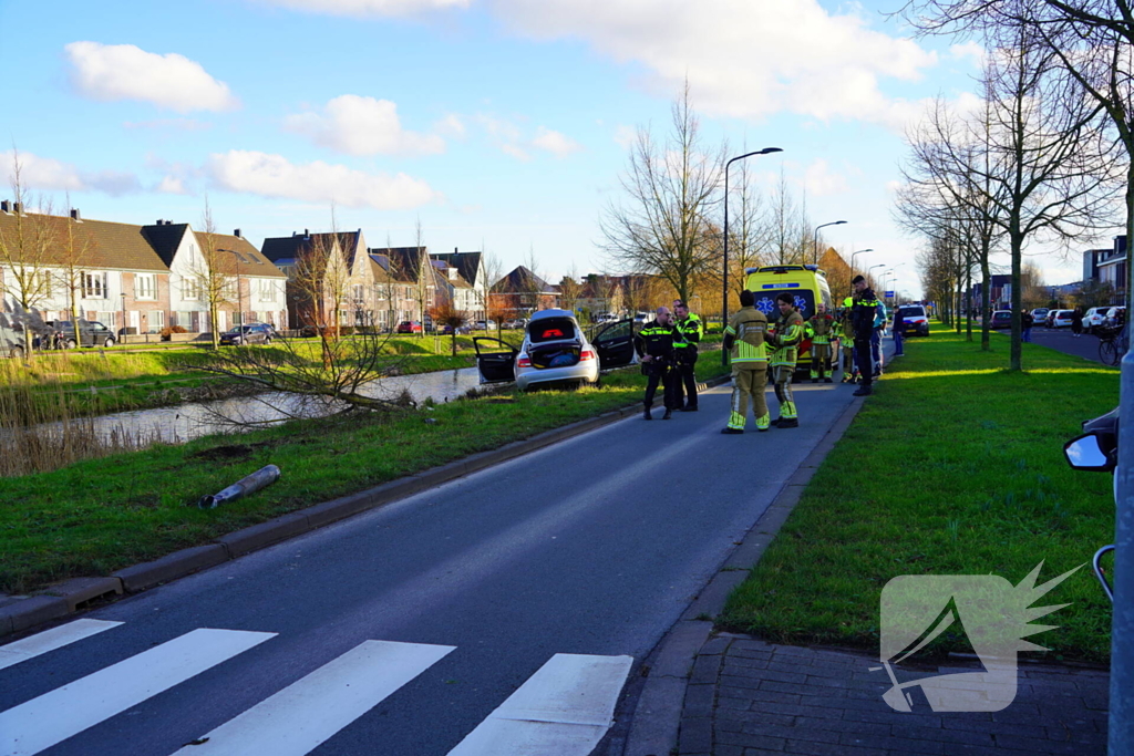 Flinke schade nadat automobilist op boom botst