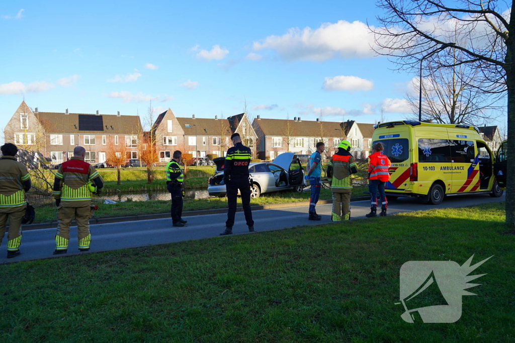 Flinke schade nadat automobilist op boom botst