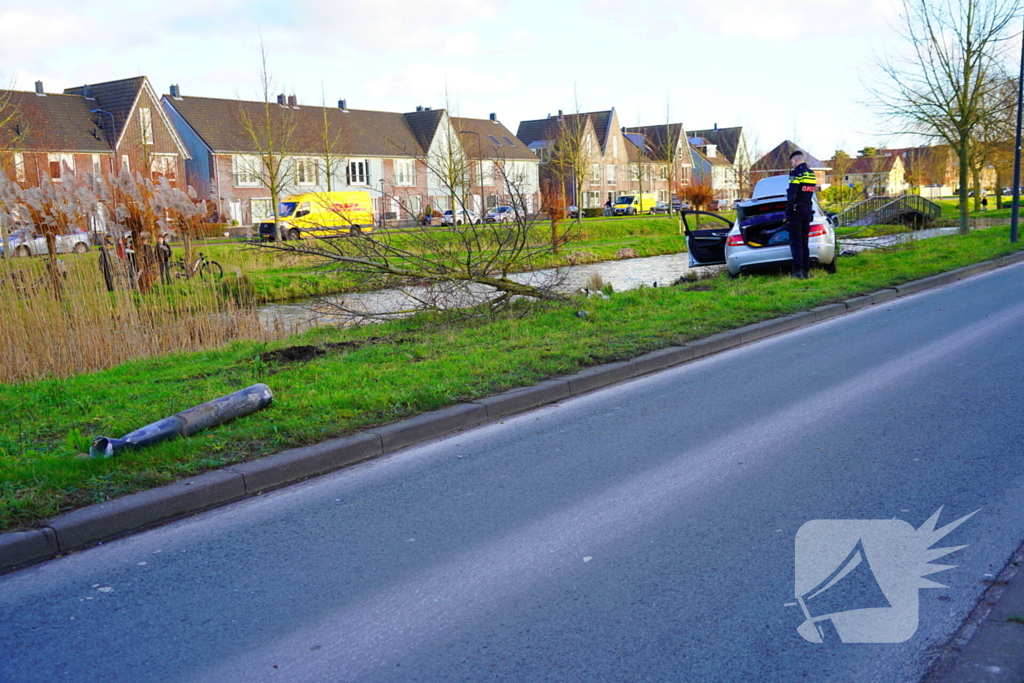 Flinke schade nadat automobilist op boom botst