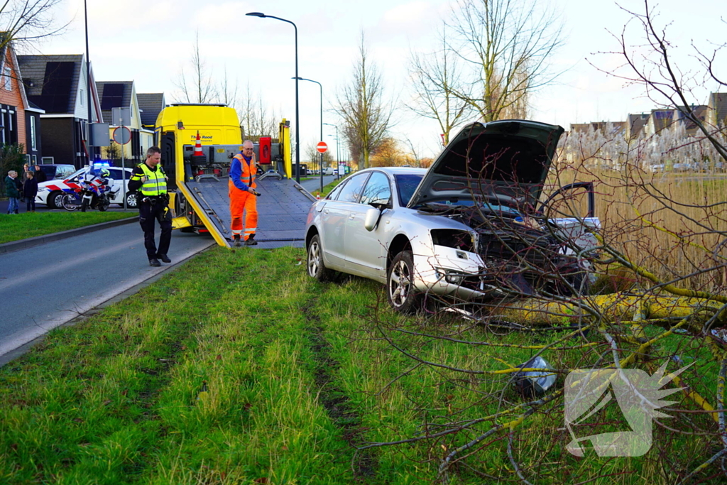 Flinke schade nadat automobilist op boom botst