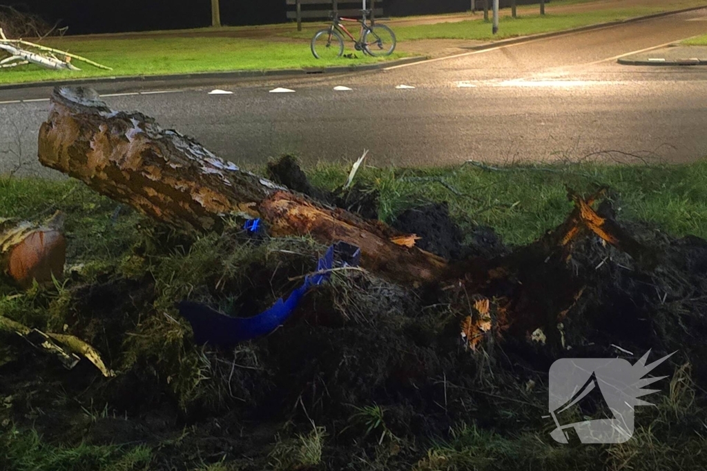 Chauffeur rijdt rechtdoor op rotonde en knalt tegen boom