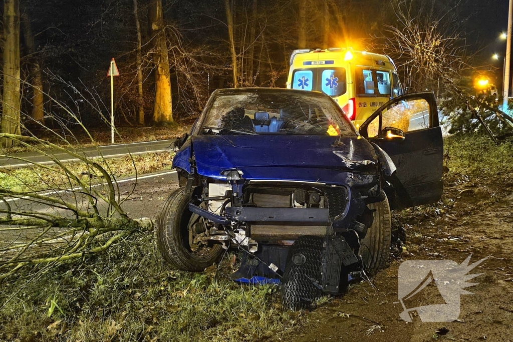 Jaguar i-pace rijdt meer bomen omver, bestuurder aangehouden