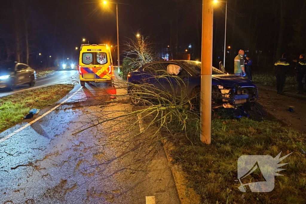 Jaguar i-pace rijdt meer bomen omver, bestuurder aangehouden