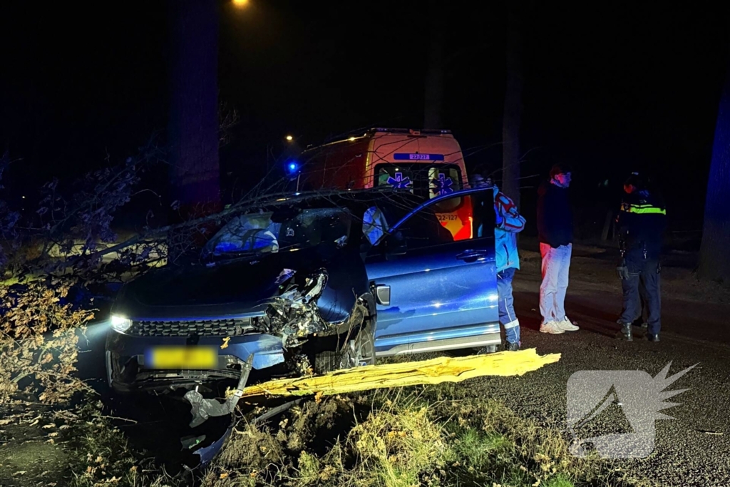 Automobilist eindigt tegen boom