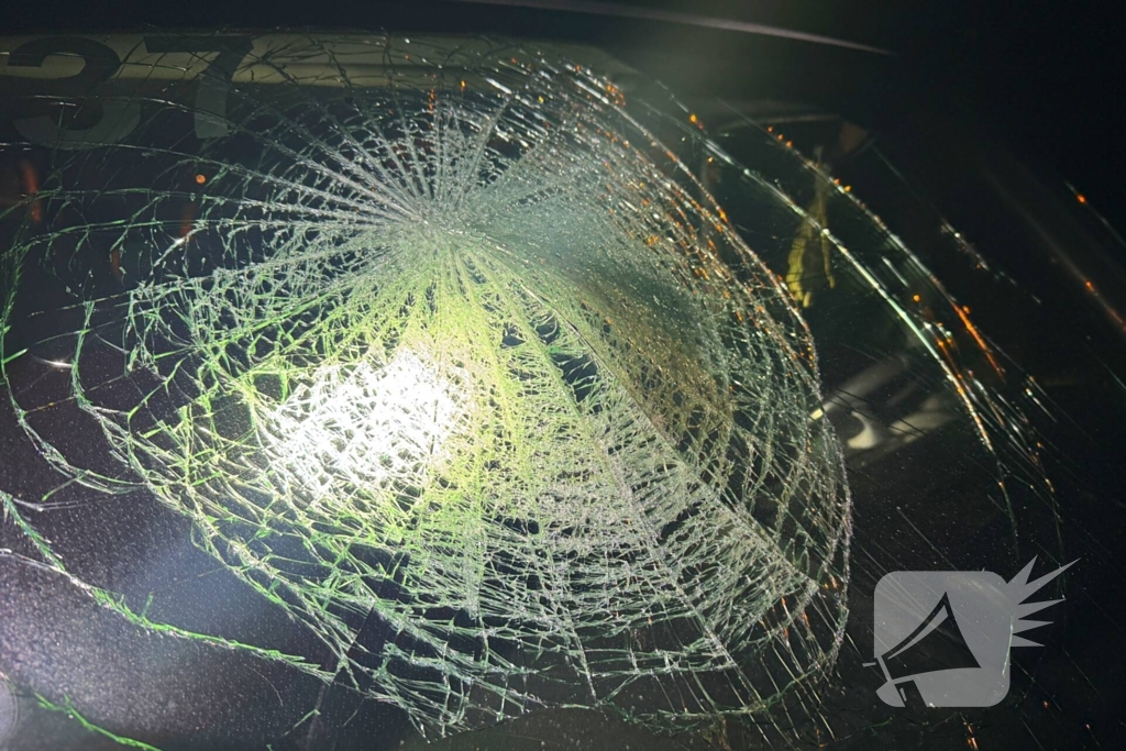 Personenbus met arbeidsmigranten botst op boom, inzittenden spoorloos