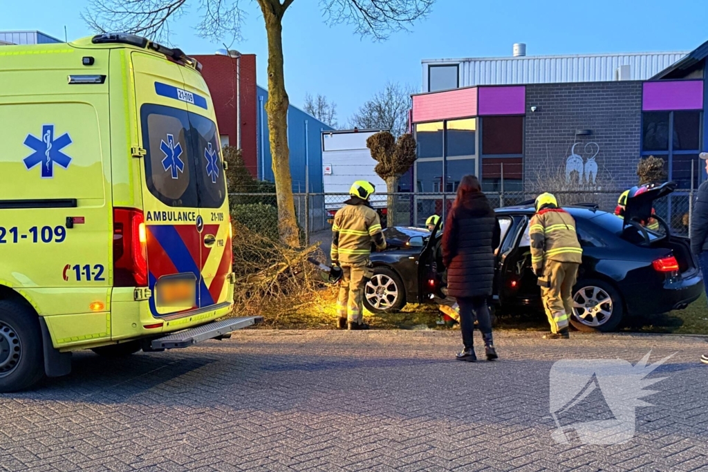 Automobilist verliest macht over stuur en klapt op boom