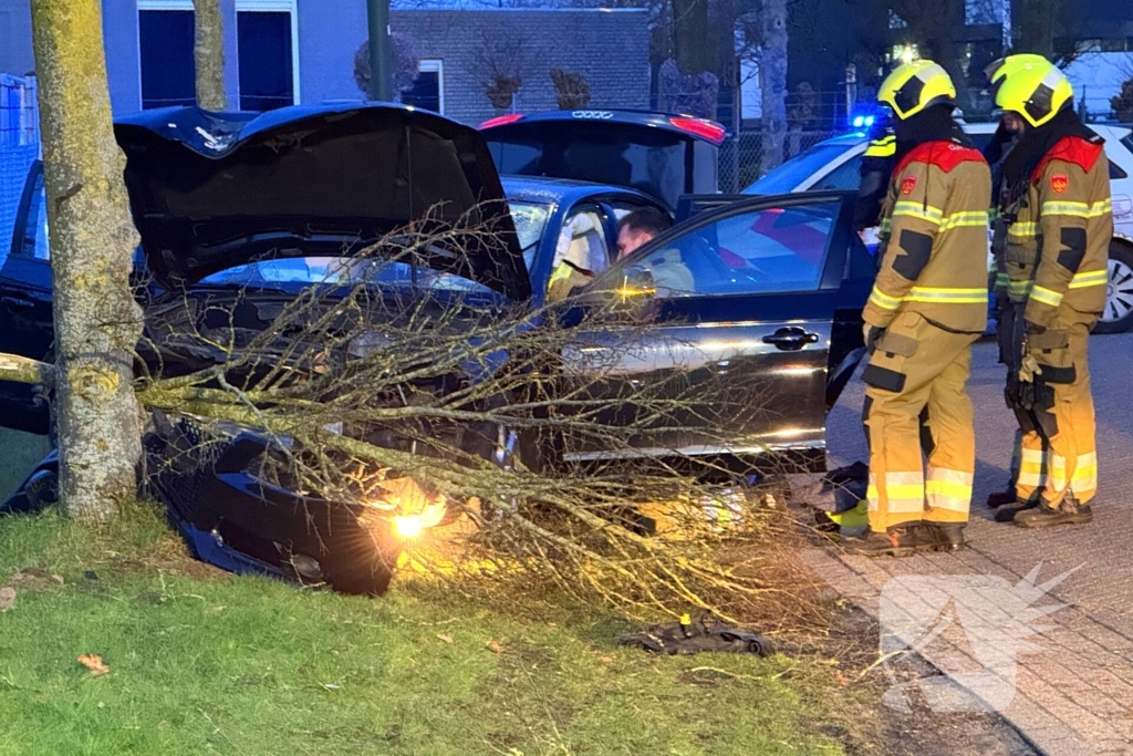 Automobilist verliest macht over stuur en klapt op boom