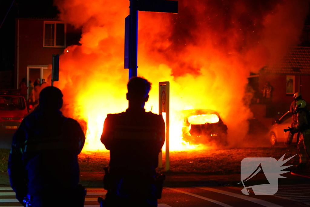 Meerdere voertuigen door brand verwoest