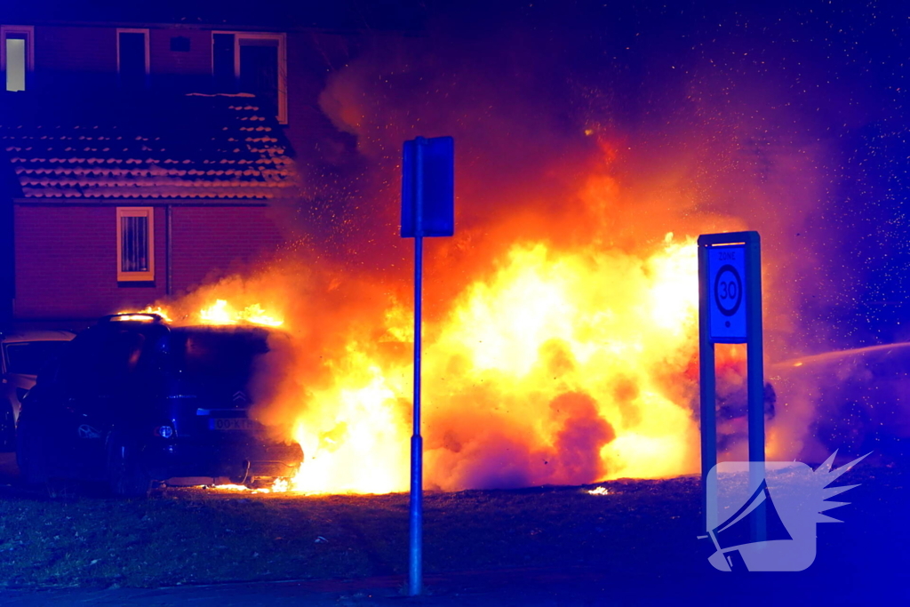 Meerdere voertuigen door brand verwoest