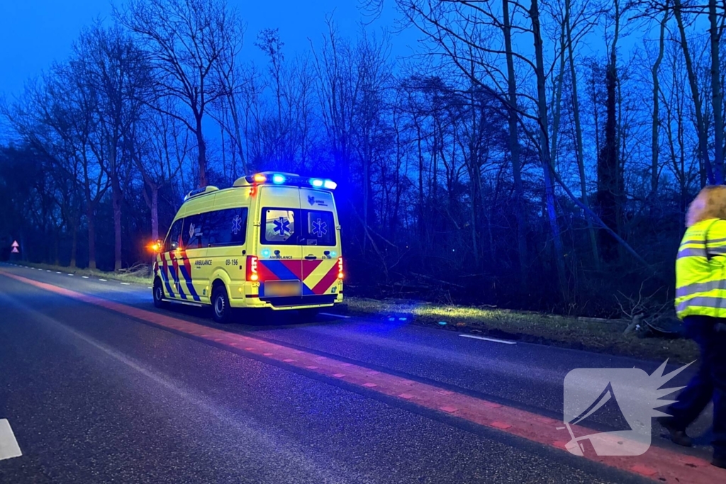 Gewonde nadat auto tegen boom klapt
