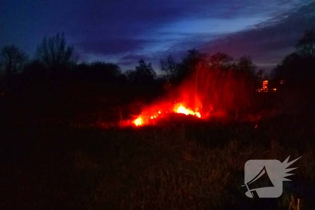 Brandweer blust brandend riet
