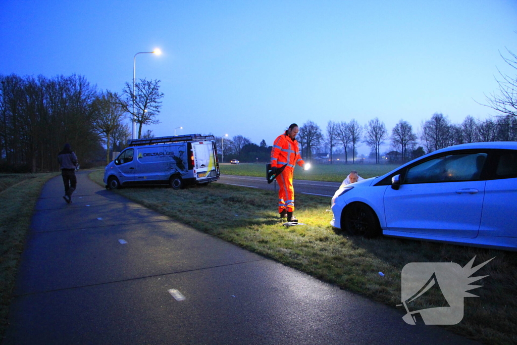 Wilde zwijnen sterven na aanrijding met voertuigen
