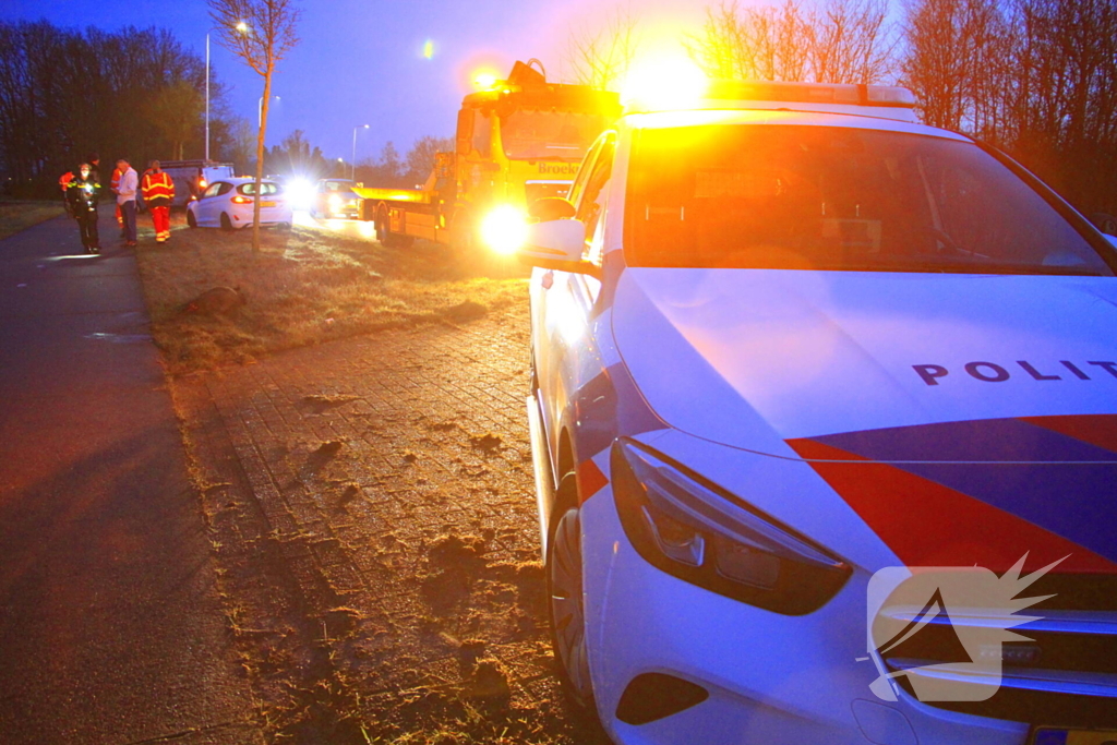Wilde zwijnen sterven na aanrijding met voertuigen