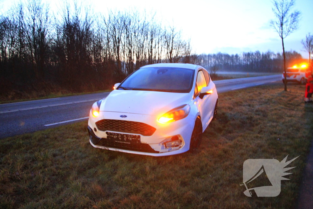Wilde zwijnen sterven na aanrijding met voertuigen