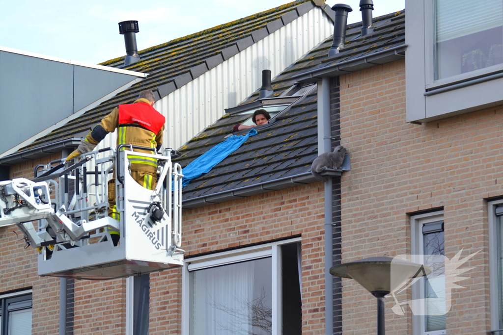 Kat veilig van dak gehaald