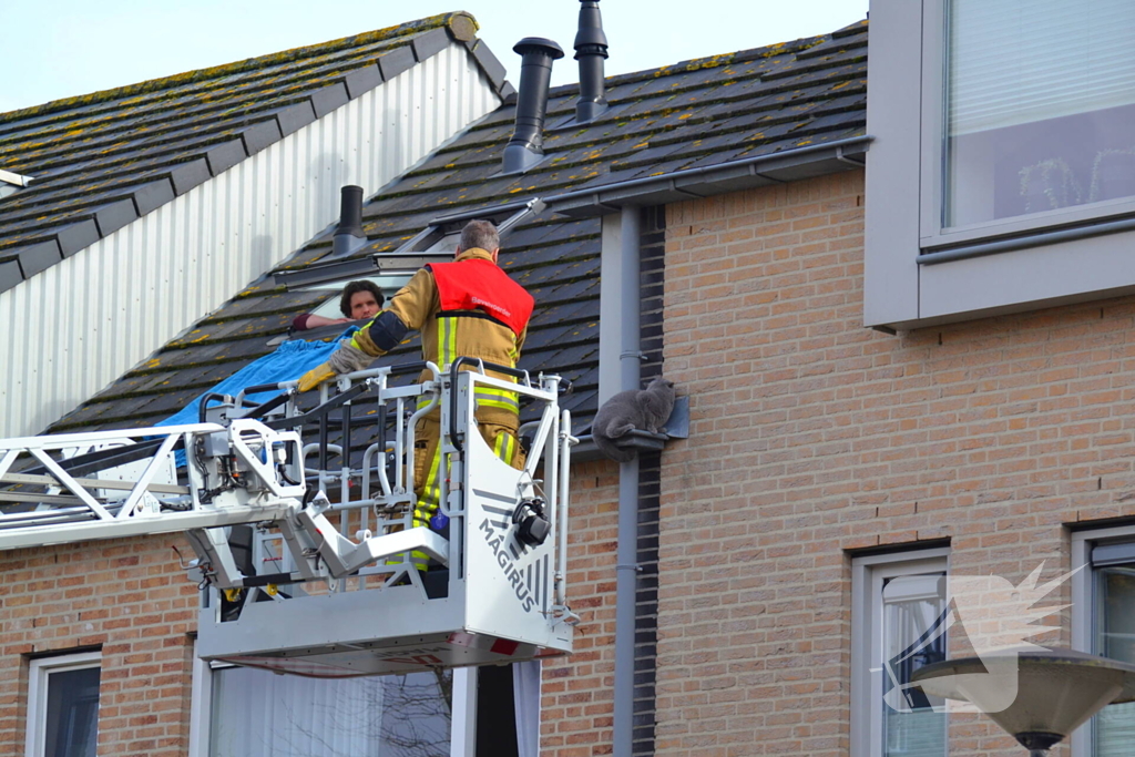 Kat veilig van dak gehaald