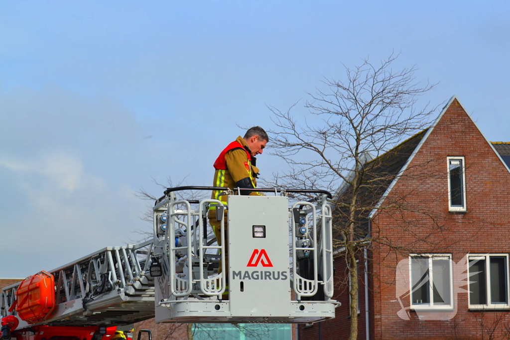 Kat veilig van dak gehaald