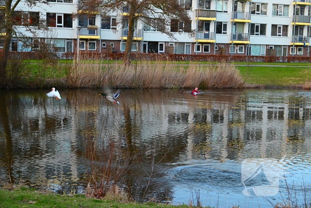 Eend gevlogen tijdens reddingsactie