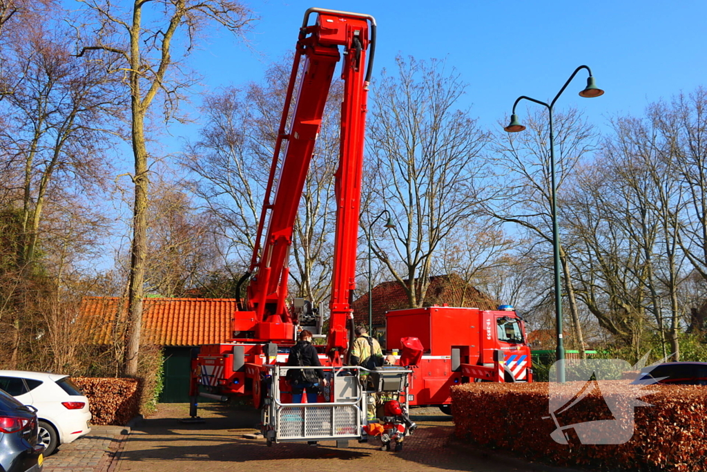 Dierenambulance en brandweer helpen kat uit boom