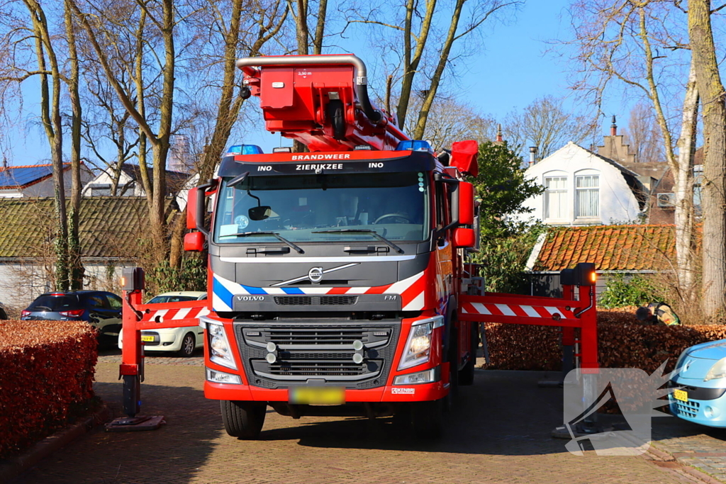 Dierenambulance en brandweer helpen kat uit boom