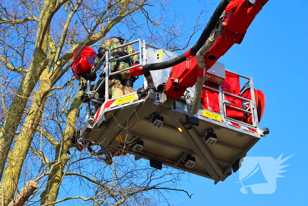 Dierenambulance en brandweer helpen kat uit boom