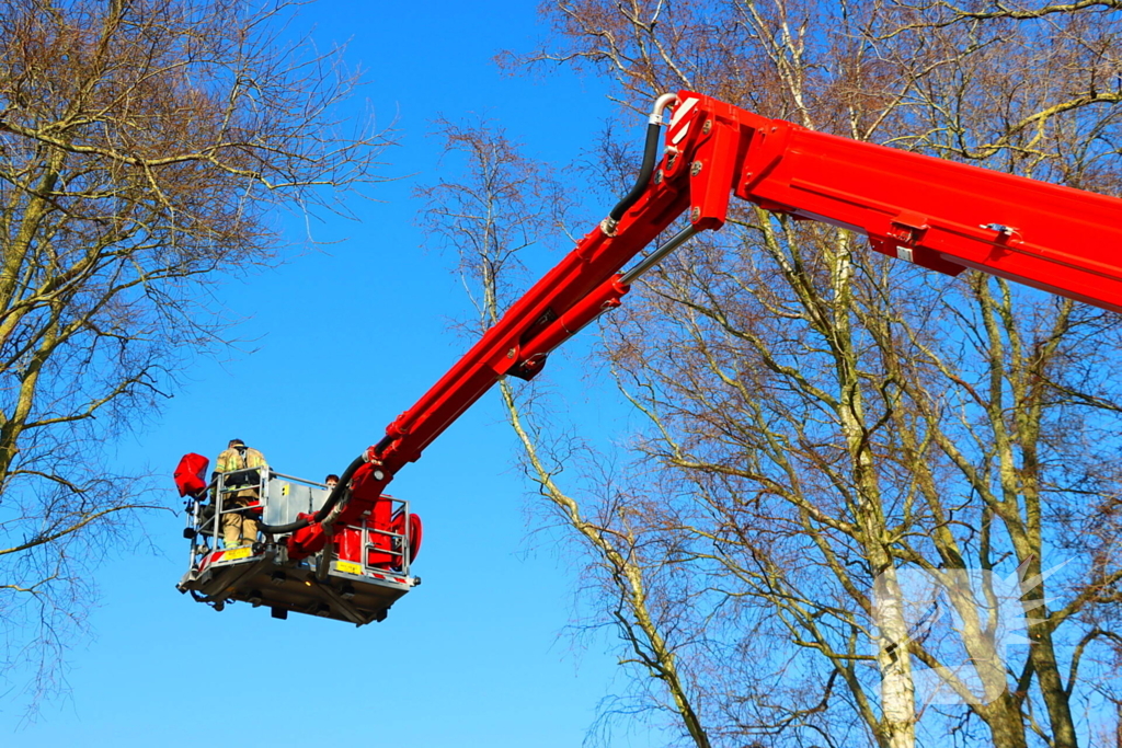 Dierenambulance en brandweer helpen kat uit boom