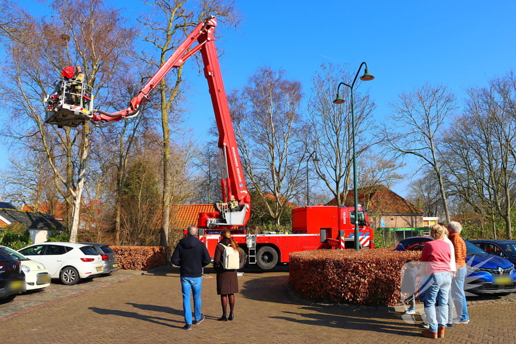 Dierenambulance en brandweer helpen kat uit boom