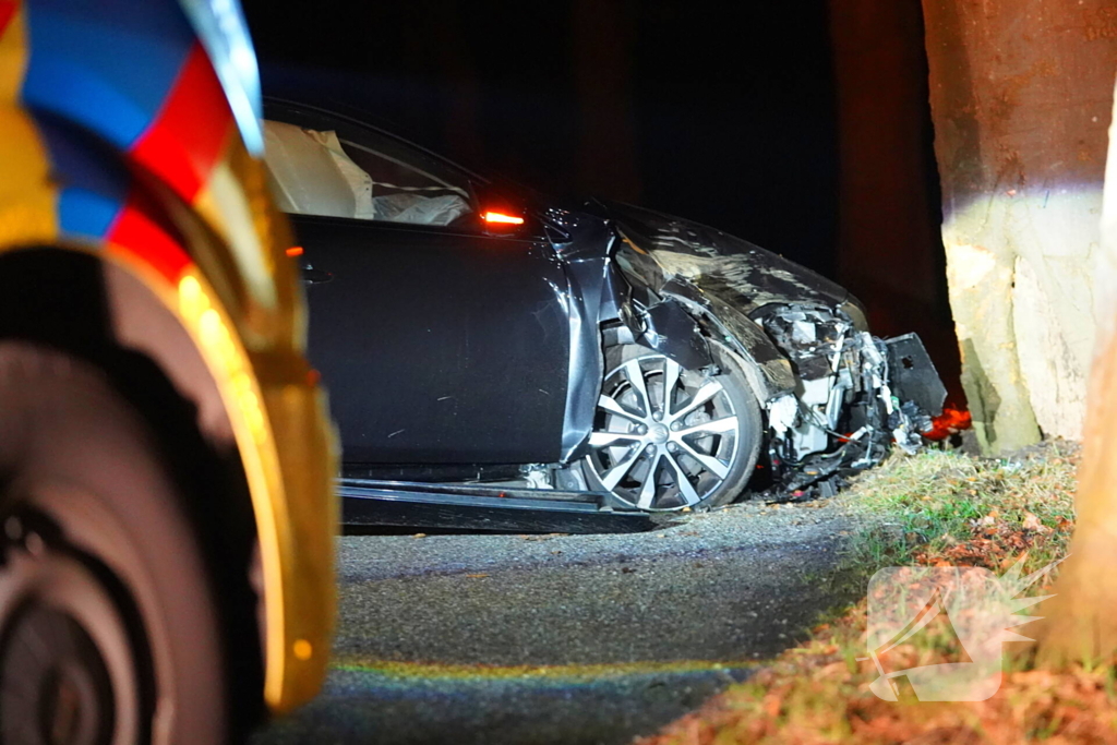 Automobilist botst tegen boom