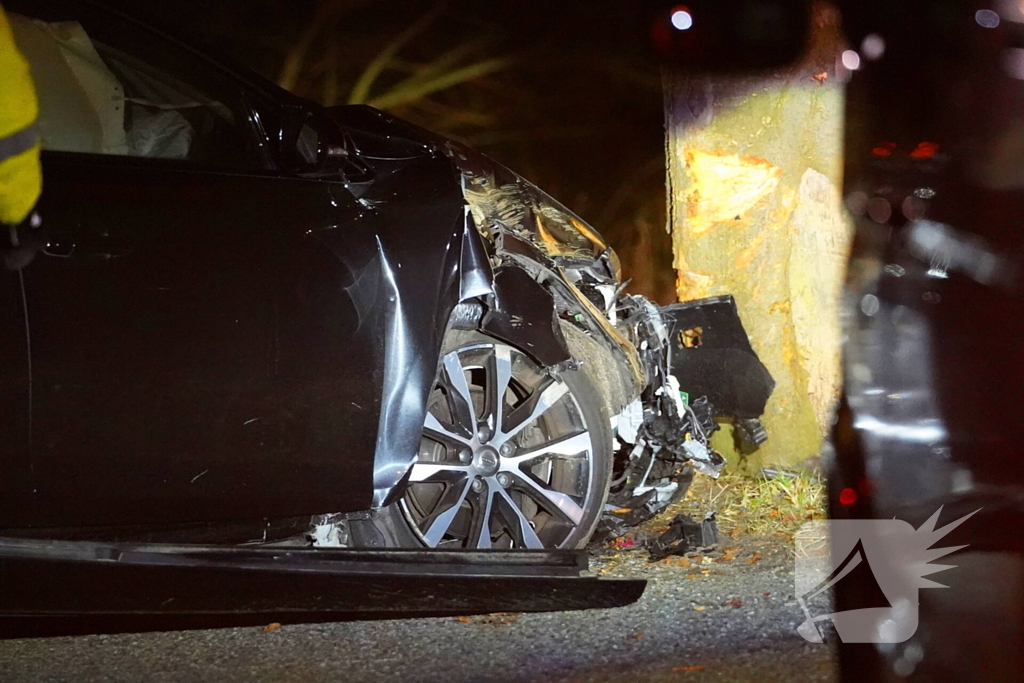 Automobilist botst tegen boom