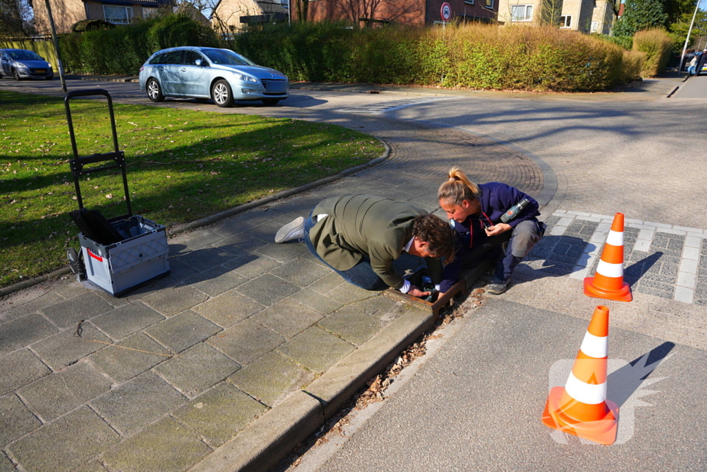 Wethouder plaatst paddentrap