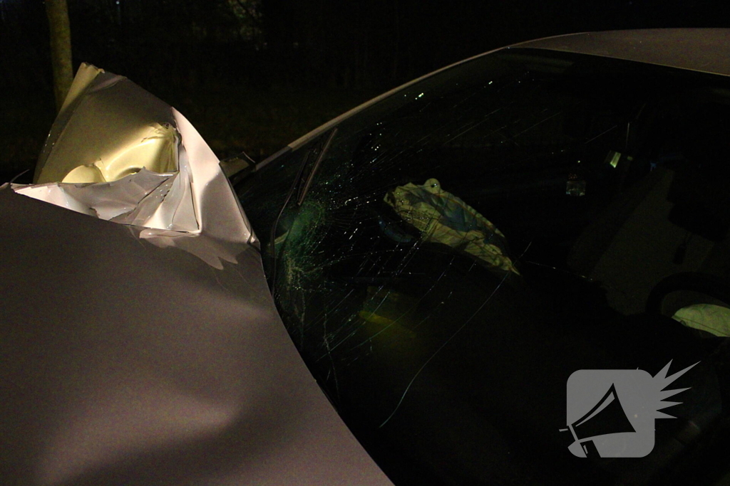 Automobilist vliegt uit de bocht en botst tegen lantaarnpaal