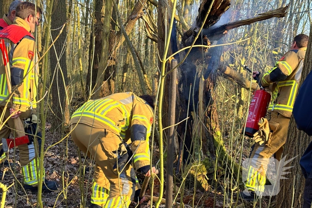 Brand gesticht in boomstronk