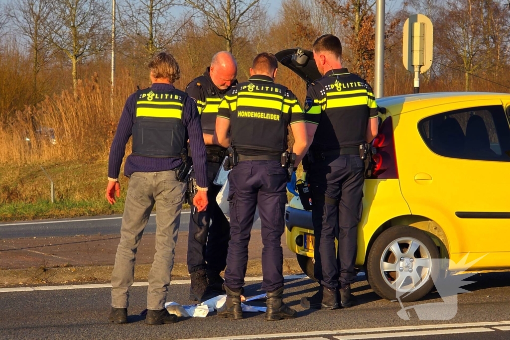 Aanhoudingen na geweldsincident op snelweg