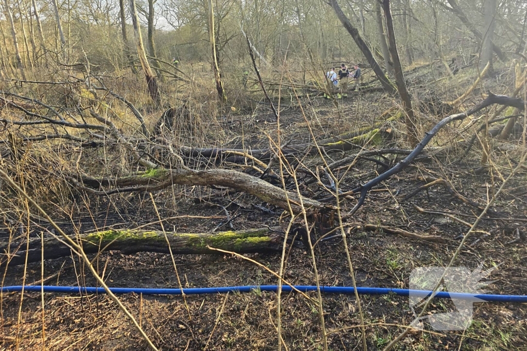 Brandweer zet veel materieel in voor duinbrand