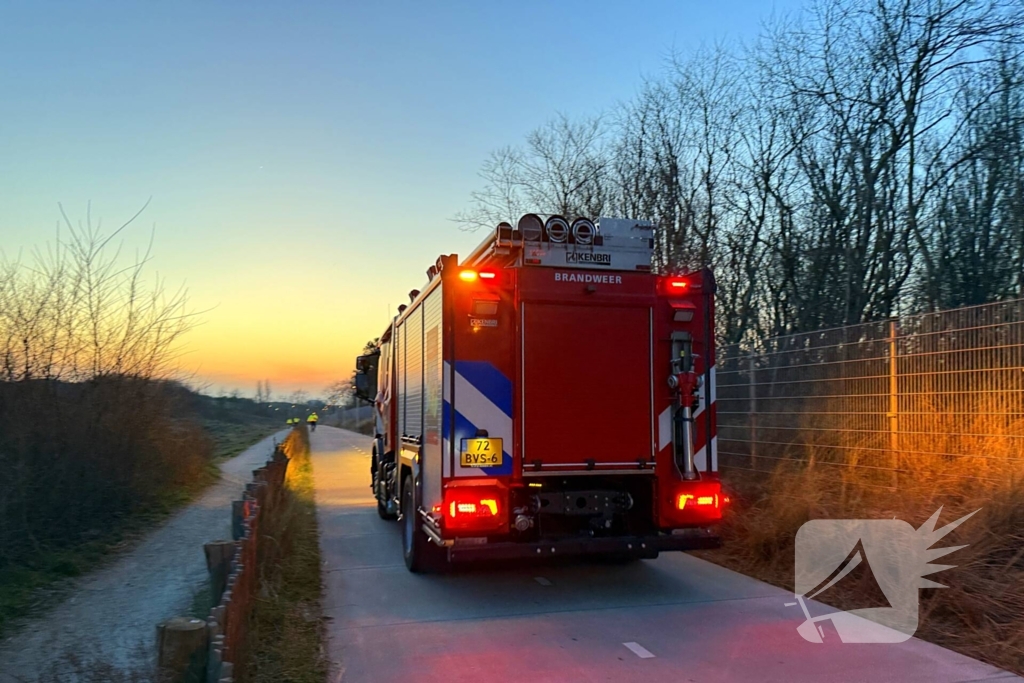Grote brandweerinzet voor brandende kerstbomen in duingebied